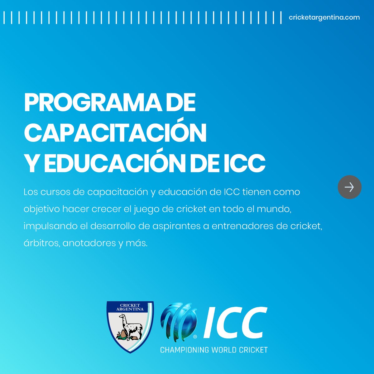 Cricket Argentina tweet media