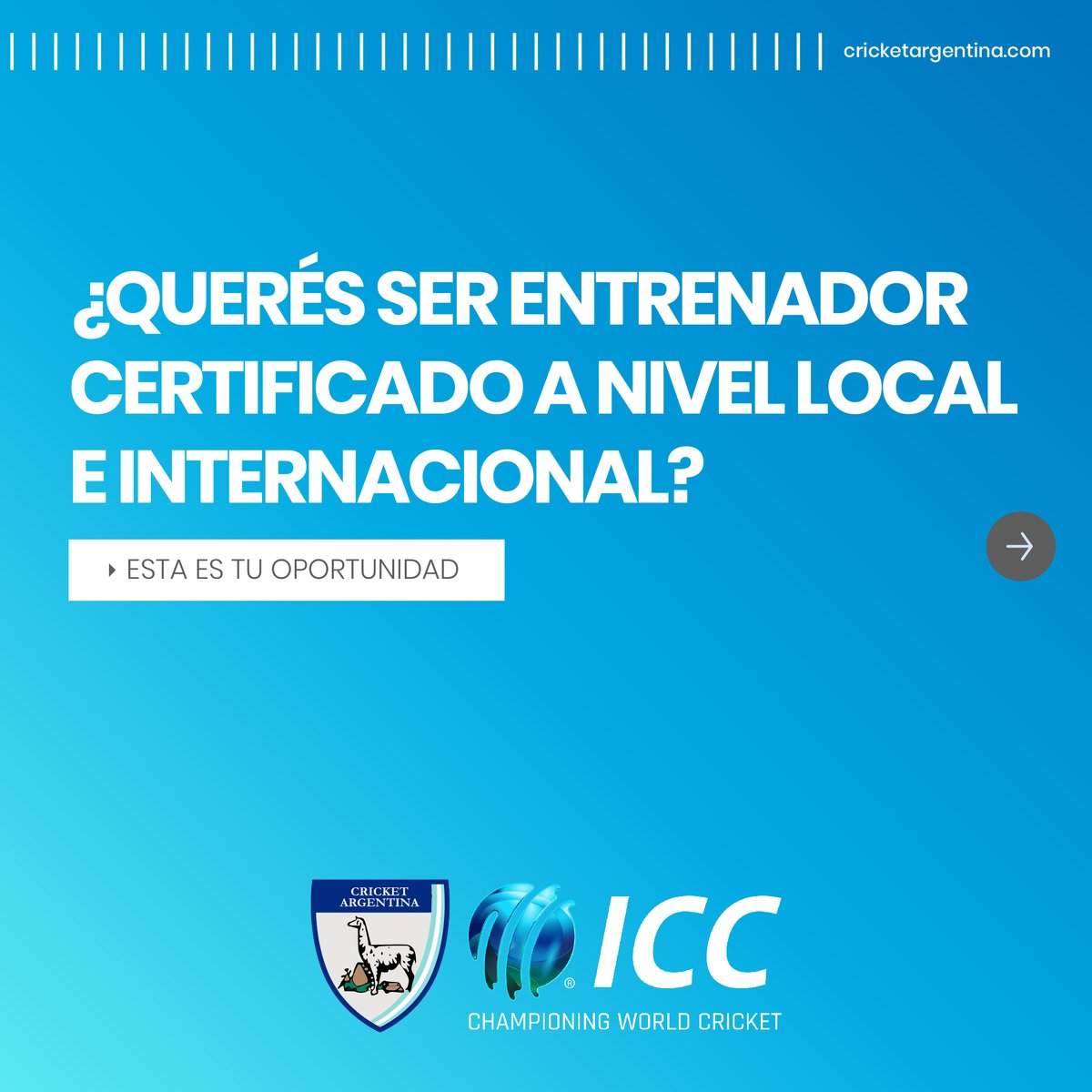 Cricket Argentina tweet media