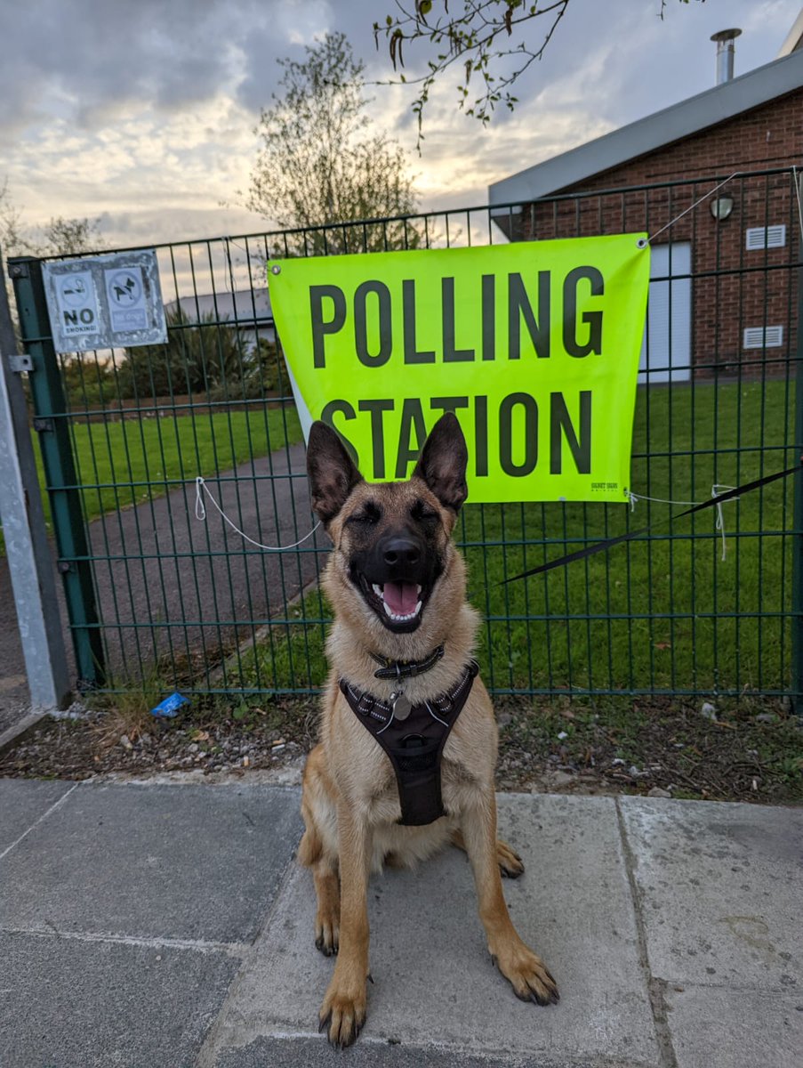 louisegalliott's tweet photo. #dogsatpollingstations https://t.co/DULbFnL0Ug