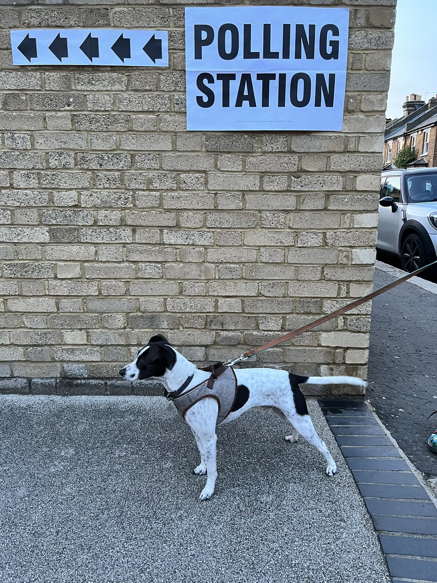gmichalis's tweet photo. Diego exercising his democratic rights #dogsatpollingstations https://t.co/rHtEzZB445