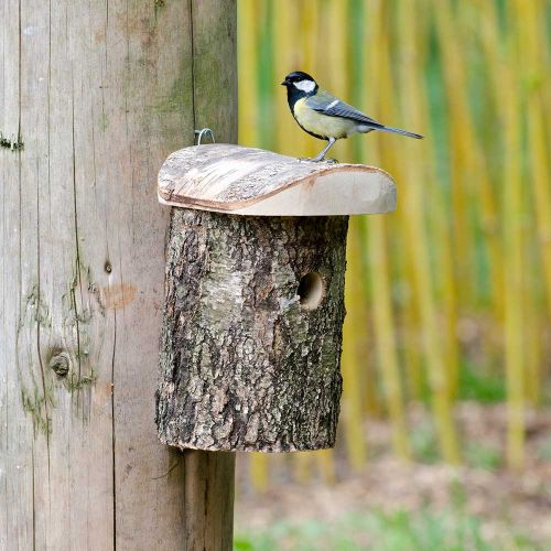 KadirShahani's tweet photo. Garden birds find it harder every year to find natural nesting sites, so adding artificial boxes to your garden will benefit those species who are struggling to find suitable sites to breed and find young! #BirchLog #nesting #nestbox #NationalGardeningWeek https://t.co/Z1fkxLR6si