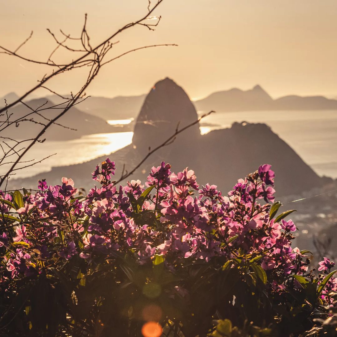 Centro de Operações Rio tweet media