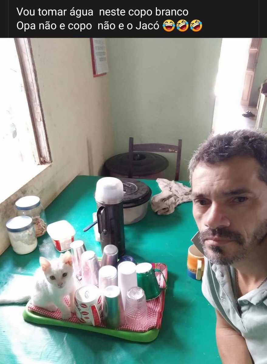 meltedvideos's tweet photo. opa não é copo não é o Jacó https://t.co/a7fkEII50o