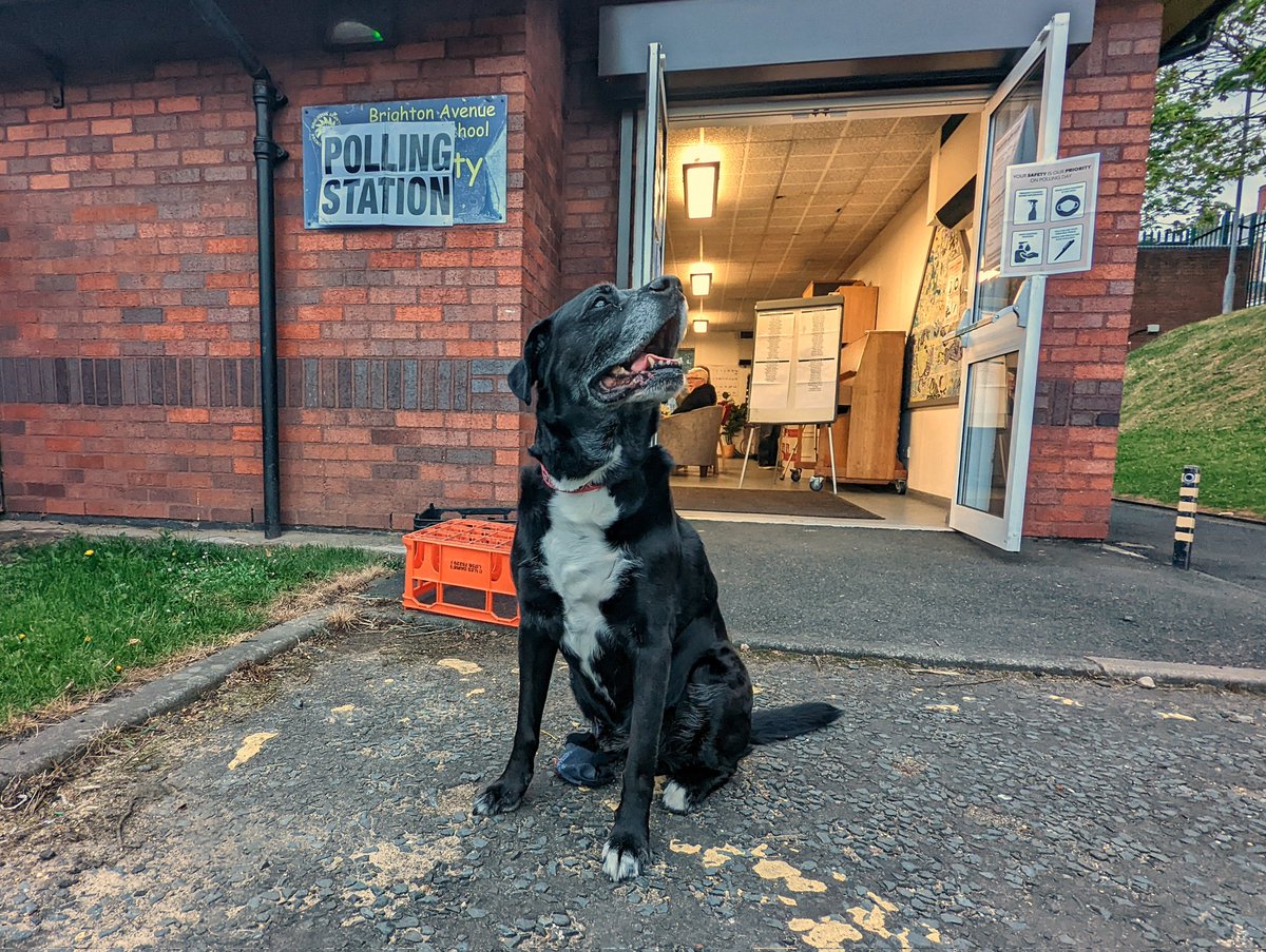 PickleJarRich's tweet photo. Obligatory #dogsatpollingstations pic... ❌🐾 https://t.co/amvwo1sdZN