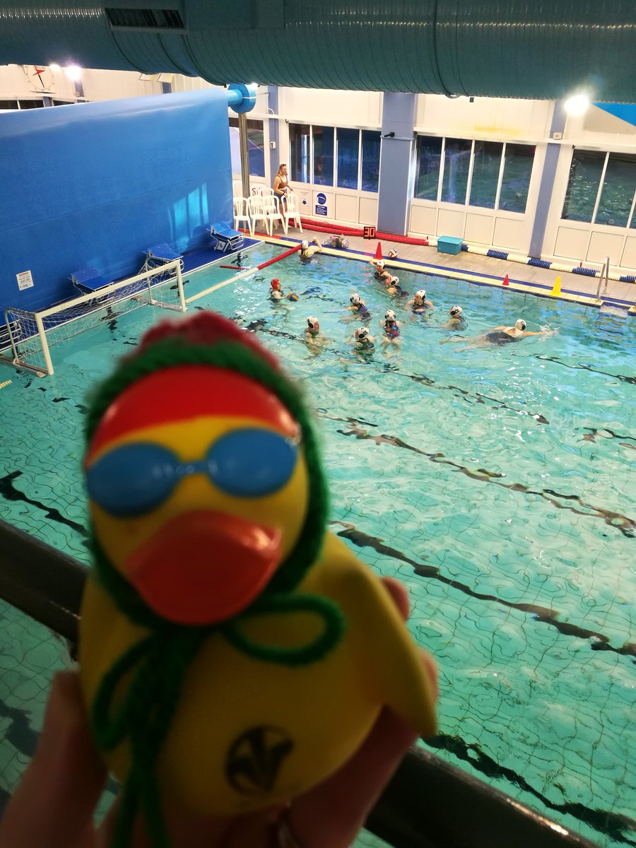 WaterPoloDuck's tweet photo. @CwmDraig Ladies 8-12 @Welsh_Wanderers Ladies scorers @VaughanSeren 4 @breequine Meg, Seren G &amp; KJ 1 each. Well played ladies great teamwork #waterpolo @BWWPL #OnlyTheFeisty https://t.co/teBjfBtWiq