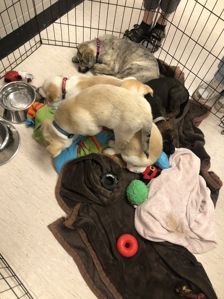 Ian Wilson tweet media