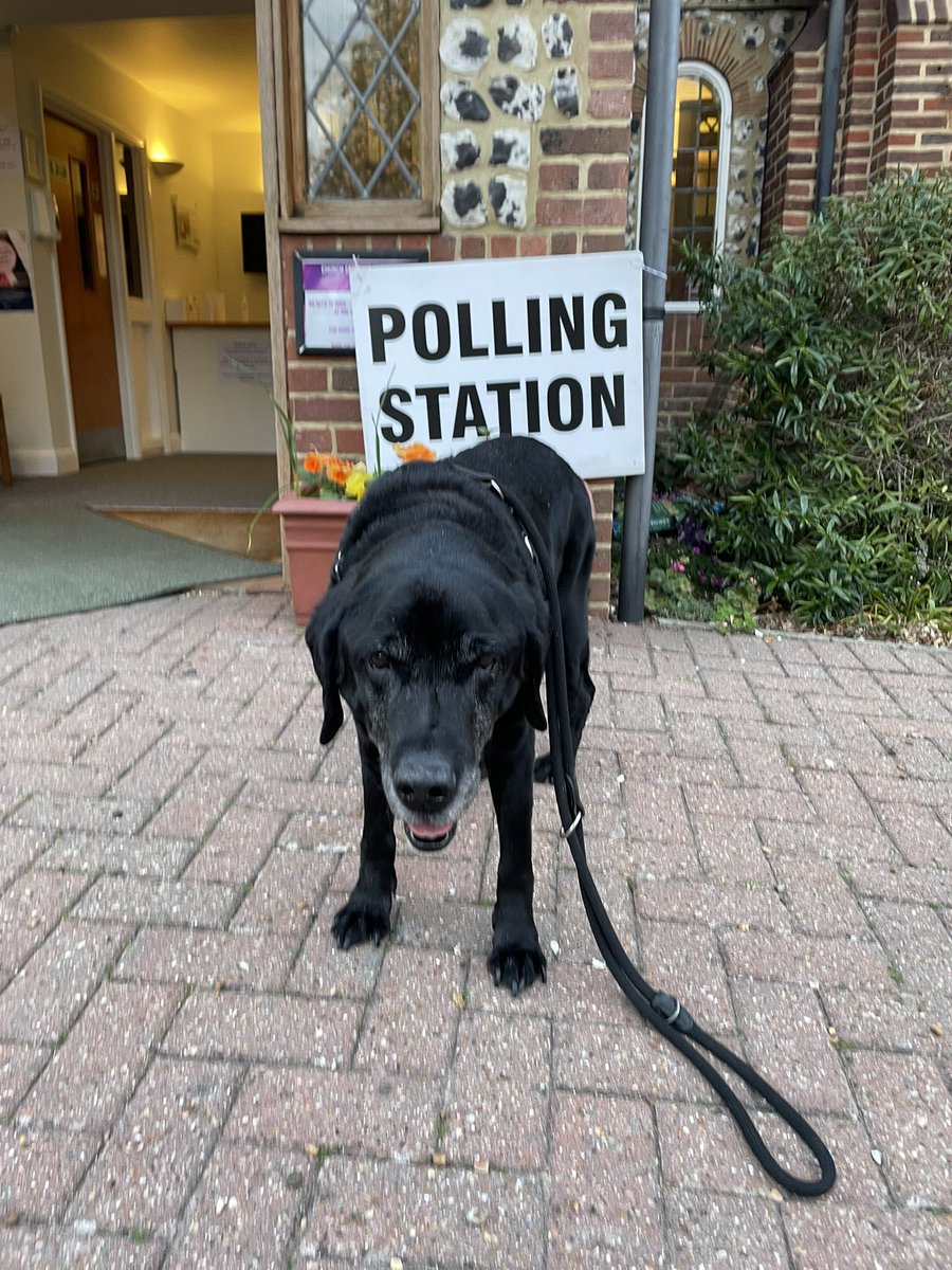 Civic duty done. Frankly couldn’t be arsed sitting for a nice photo though… been there, done that! #dogsatpollingstations