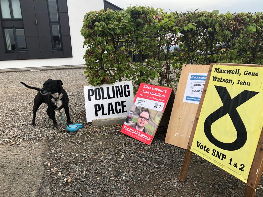 M_elanieReid's tweet photo. Now, what possible mischief can I get up to? And why are they called polling places in Scotland and polling stations everywhere else? #dogsatpollingstations #dogsatpollingplaces https://t.co/Wg2TZDNUQ6