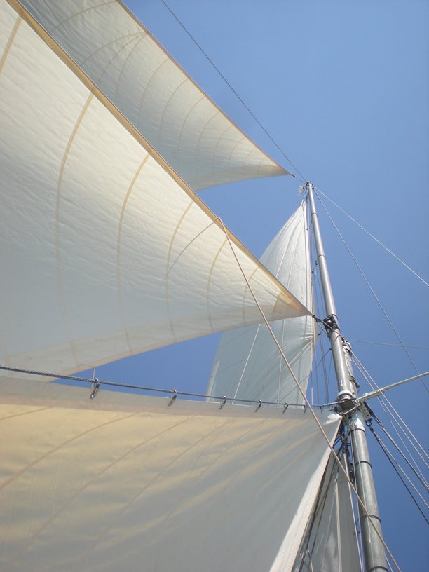 s_b_snark's tweet photo. 25% LAST MINUTE DISCOUNT
It's four weeks until we depart Plymouth on the leg 1 of our 10 leg voyage round Britain. There are discounted places available on leg 1 Plymouth to Eastbourne (code PSMSNARK1) and leg 2 Eastbourne to London (code PSMSNARK2) #sailingholiday #juneholiday https://t.co/OxaXar4wz5