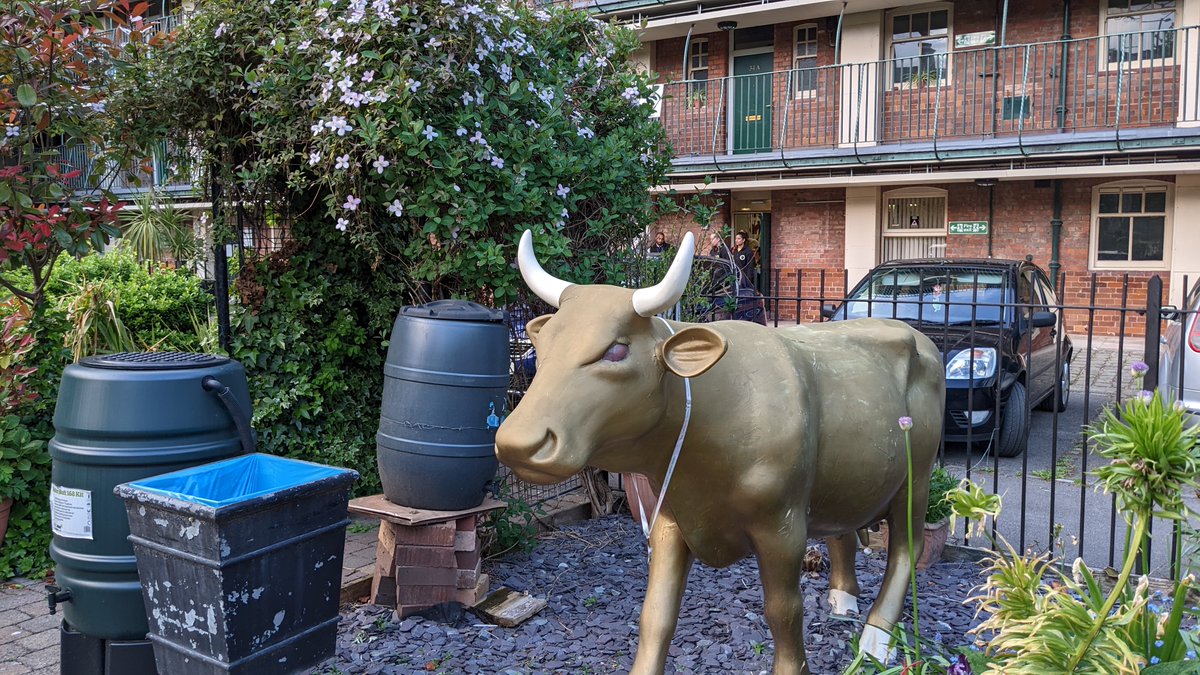 s_trelf's tweet photo. A lovely pal at my local polling station! 🐄 #LocalElections2022 #GetOutAndVote @ManCityCouncil https://t.co/MhWKFclWCa
