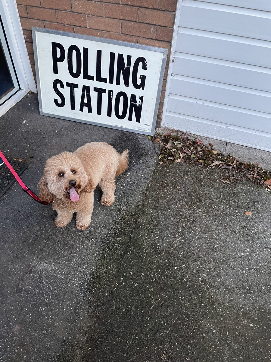 #dogsatpollingstations