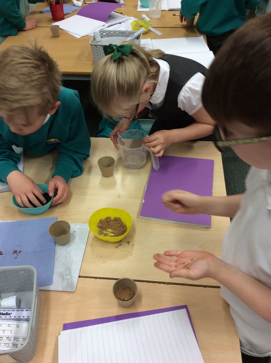 Lakeside_school's tweet photo. In science, Y1/2SV are investigating whether cress seeds can grow in different types of materials - cotton wool, sand, soil and water. We have put our pots in our class greenhouse and will observe if the cress seeds germinate in the different materials. #snapscience #science https://t.co/fvYHEDTARu
