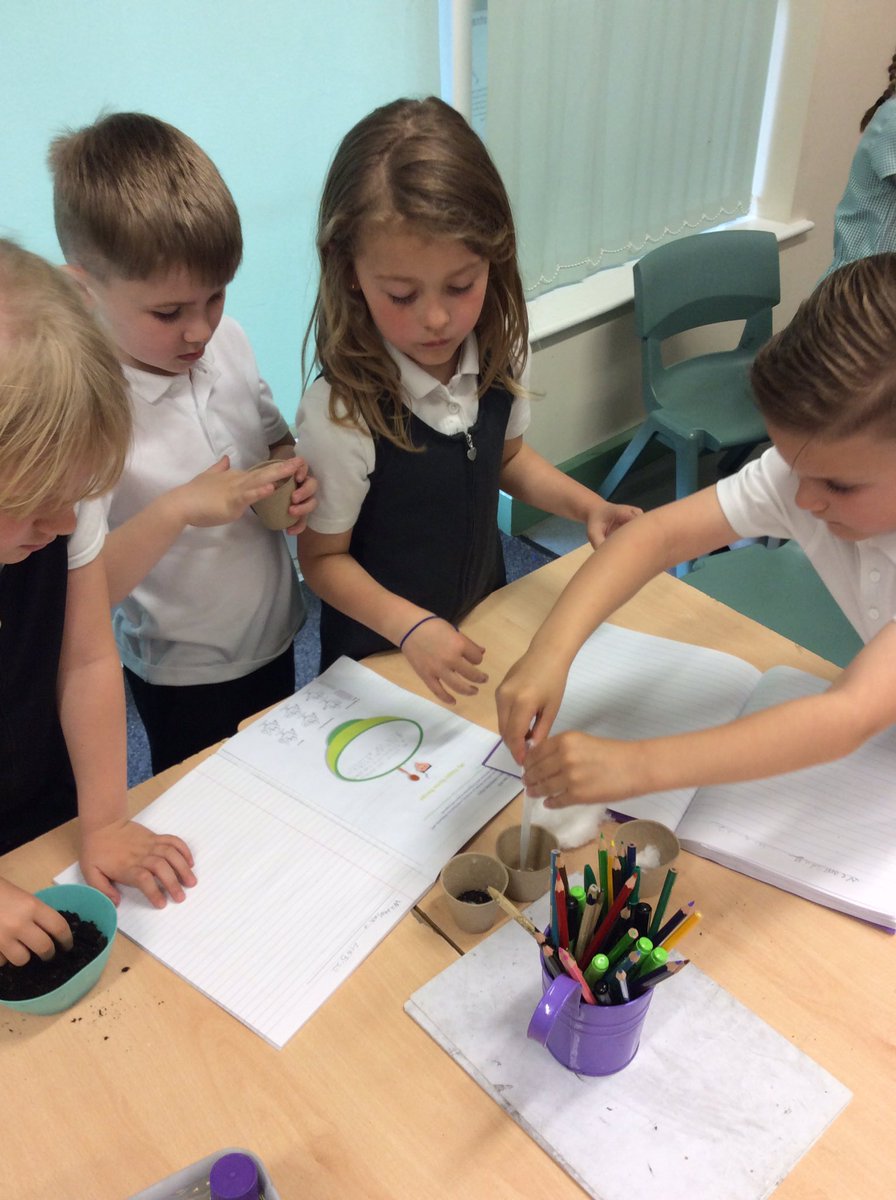 Lakeside_school's tweet photo. In science, Y1/2SV are investigating whether cress seeds can grow in different types of materials - cotton wool, sand, soil and water. We have put our pots in our class greenhouse and will observe if the cress seeds germinate in the different materials. #snapscience #science https://t.co/fvYHEDTARu