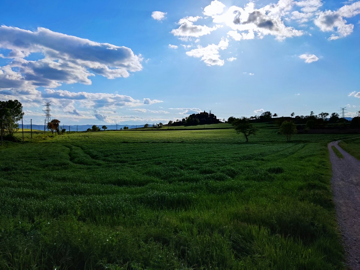 Roger OS tweet media