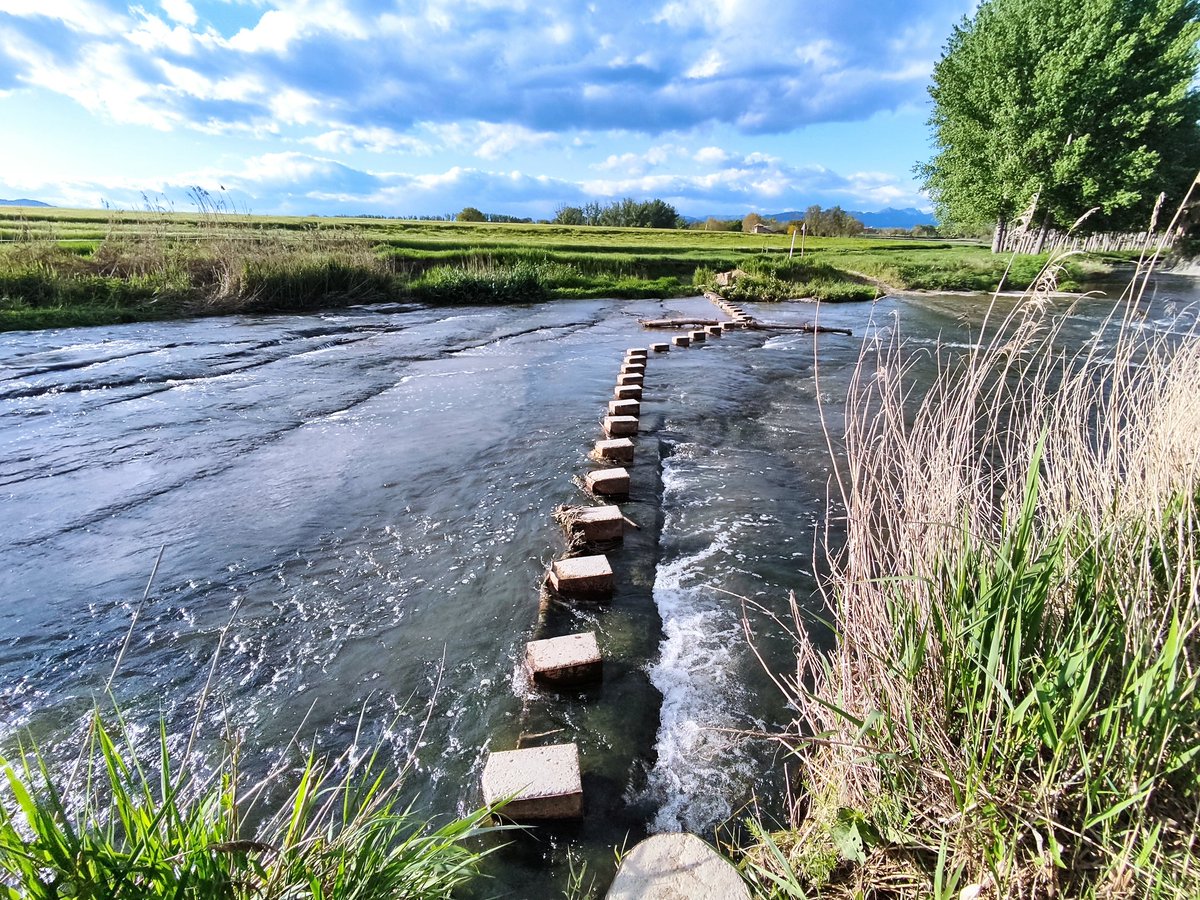 Roger OS tweet media