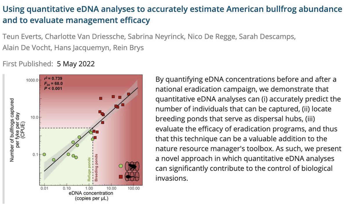 New #OpenAccess article published in #EnvironmentalDNA! 
We show that quantitative #eDNA analyses accurately predict abundance and locate breeding ponds in a landscape dominated by a voracious #invasive frog species.
doi.org/10.1002/edn3.3…

<a href="/FWOVlaanderen/">FWO</a>
@INBOVlaanderen