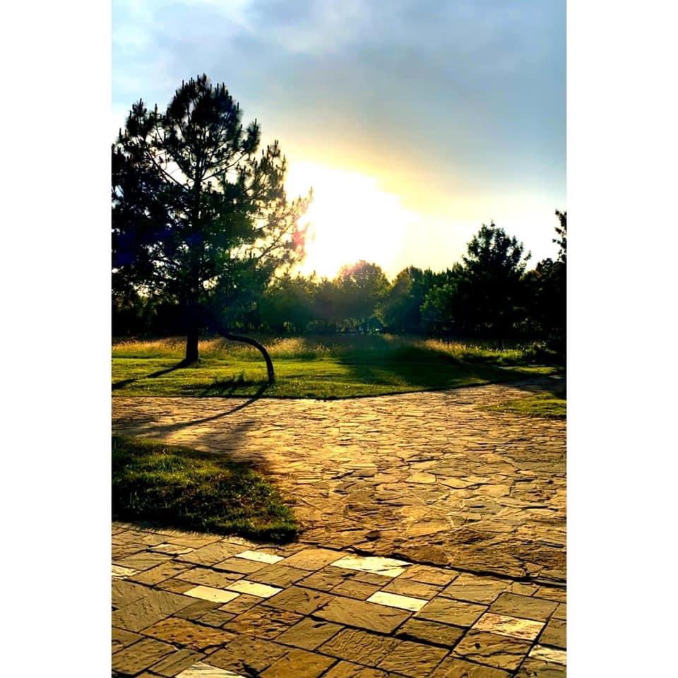 rezzalyshah's tweet photo. Gorgeous Sky and Nature 🌲 #loveforphotography📷 #photooftheday #PhotoByRezz https://t.co/IEHwMcqIYk
