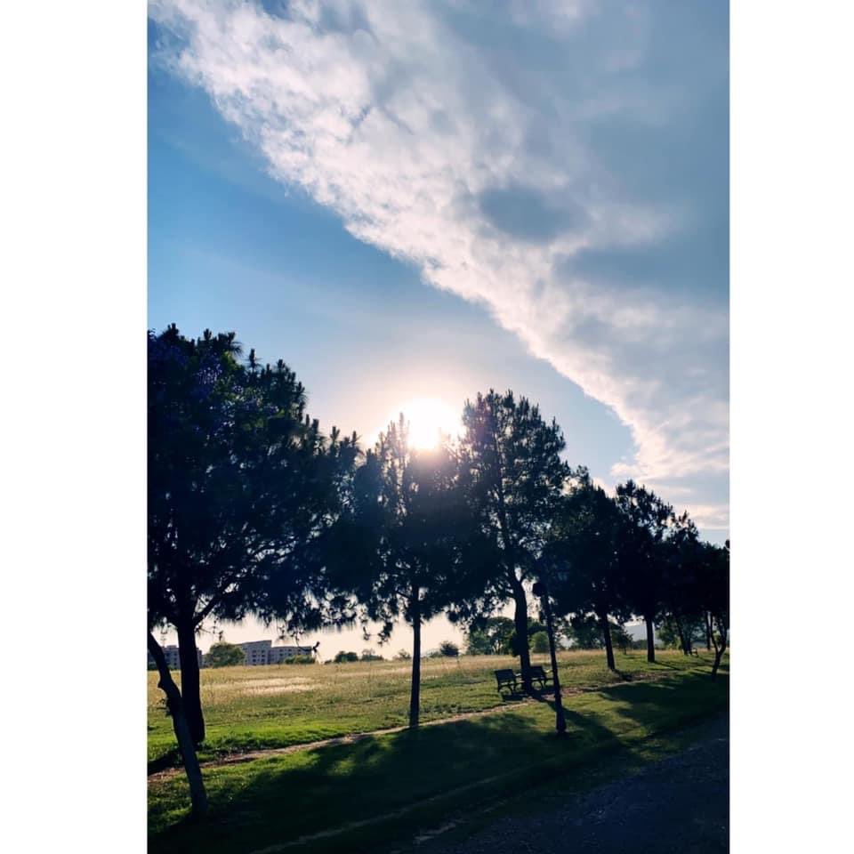 rezzalyshah's tweet photo. Gorgeous Sky and Nature 🌲 #loveforphotography📷 #photooftheday #PhotoByRezz https://t.co/IEHwMcqIYk