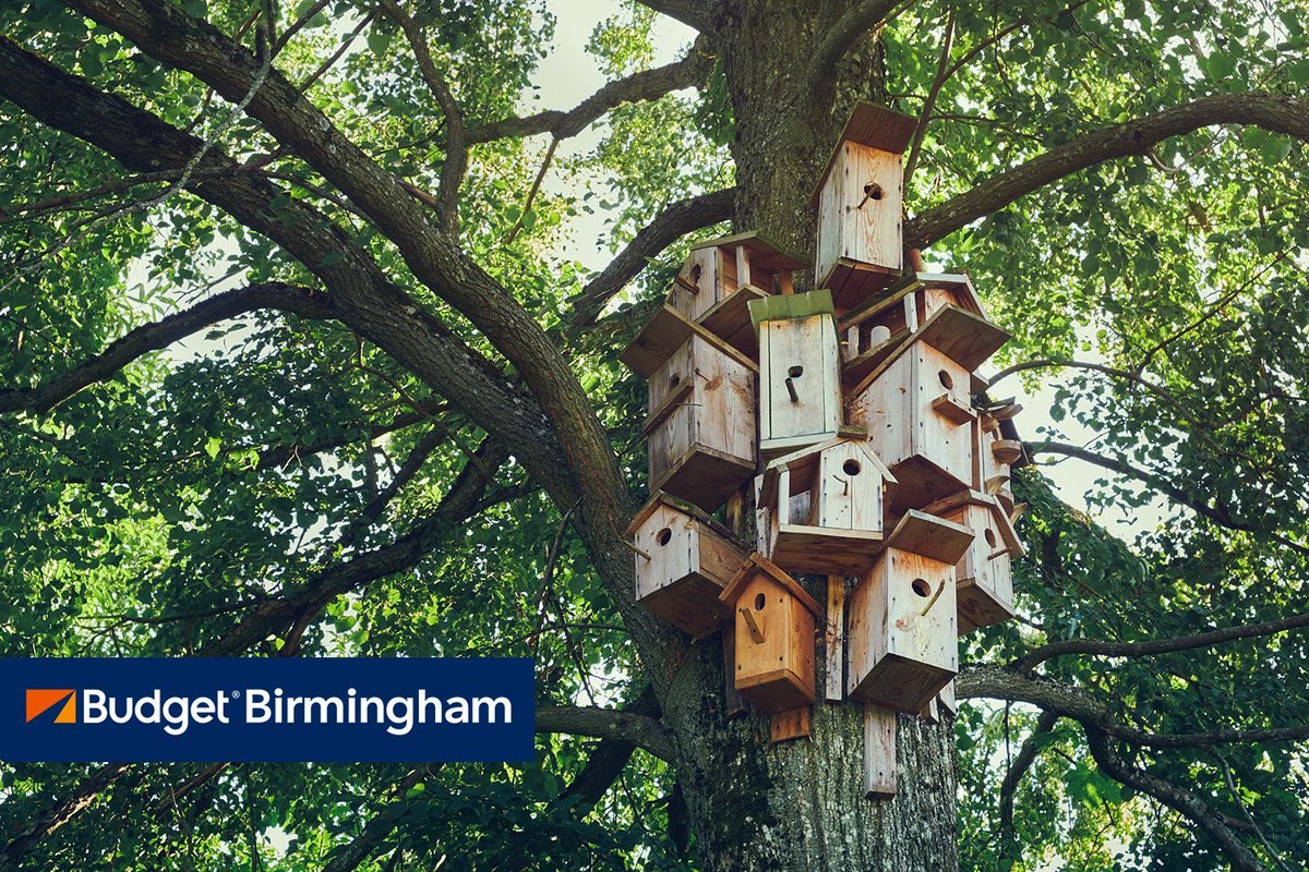 BudgetBHM's tweet photo. Celebrate the arrival of the new baby birds at @ALWildlifeCtr Baby Bird Shower. Make crafts, eat snacks, and meet some of the birds. https://t.co/2lV8Oo0BHD
#ALWildlifeCenter #AlabamaWildlife #AlabamaSpring https://t.co/6KlSQqjAEd