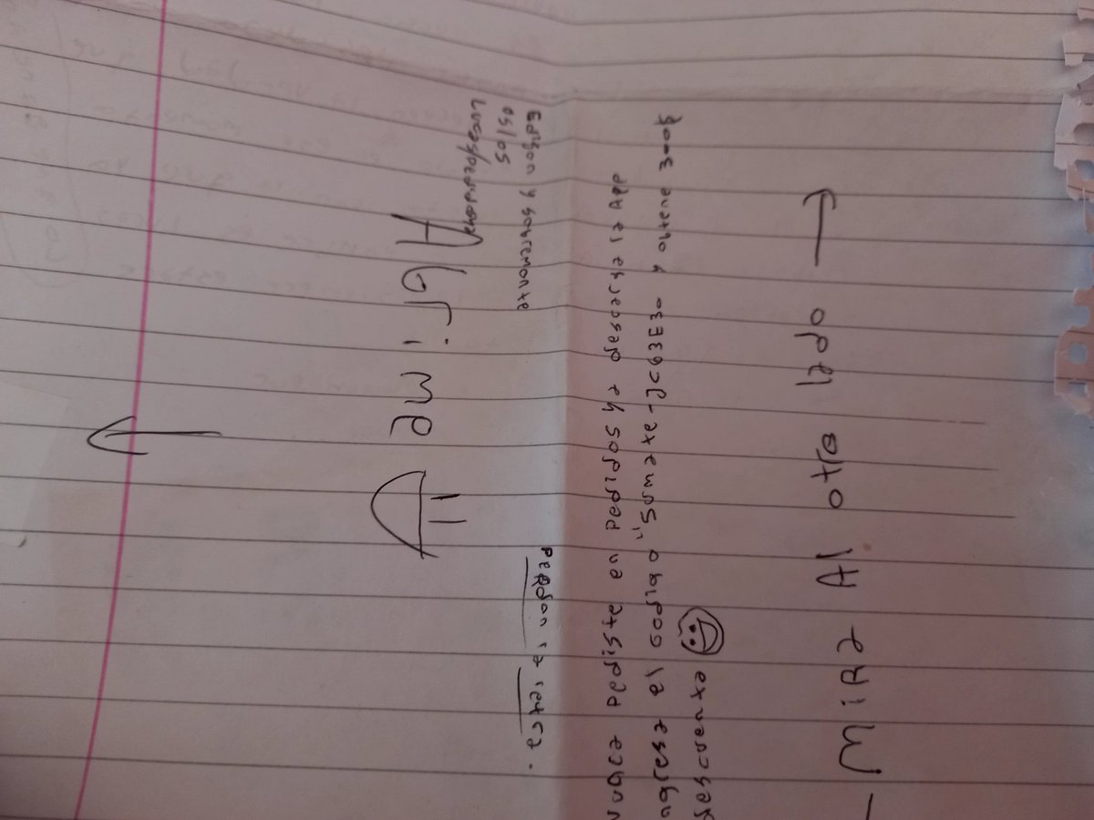 ralip ralip 🦦 tweet media