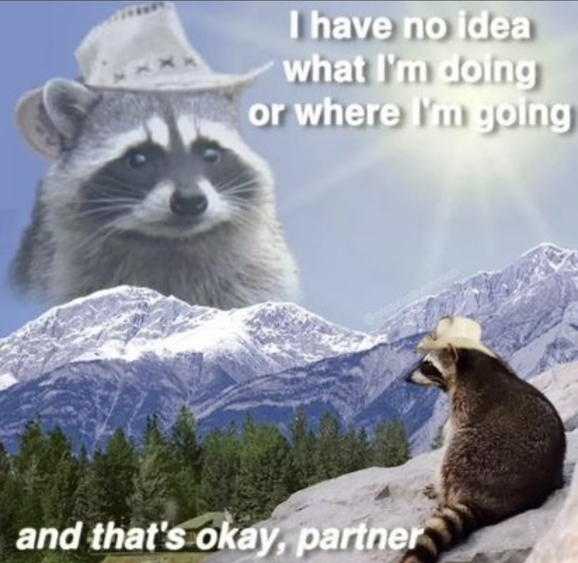 RespectfulMemes's tweet photo. https://t.co/6dPD80LAHv