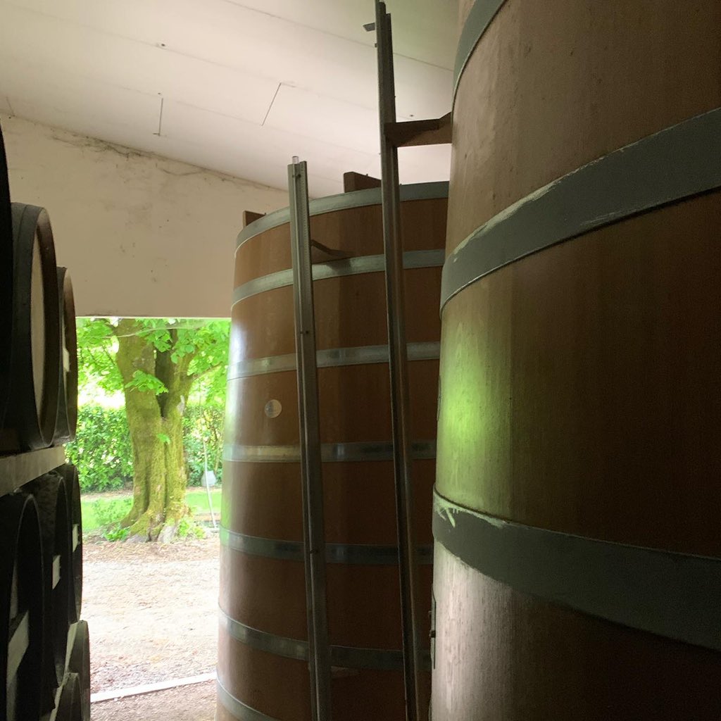 Tonneaux de cognac, au détour d’un chai 🔨🌳  #tonnellerie #tonnellerieallary  #frenchoak #savoirfairefrancais #tonneau #cognac #cognaclover #armagnaclover #tradition #brandy #rhumlover #chenefrancais #distillerie #distillation #cooperage #cooperagebrewing #barrique #barrel