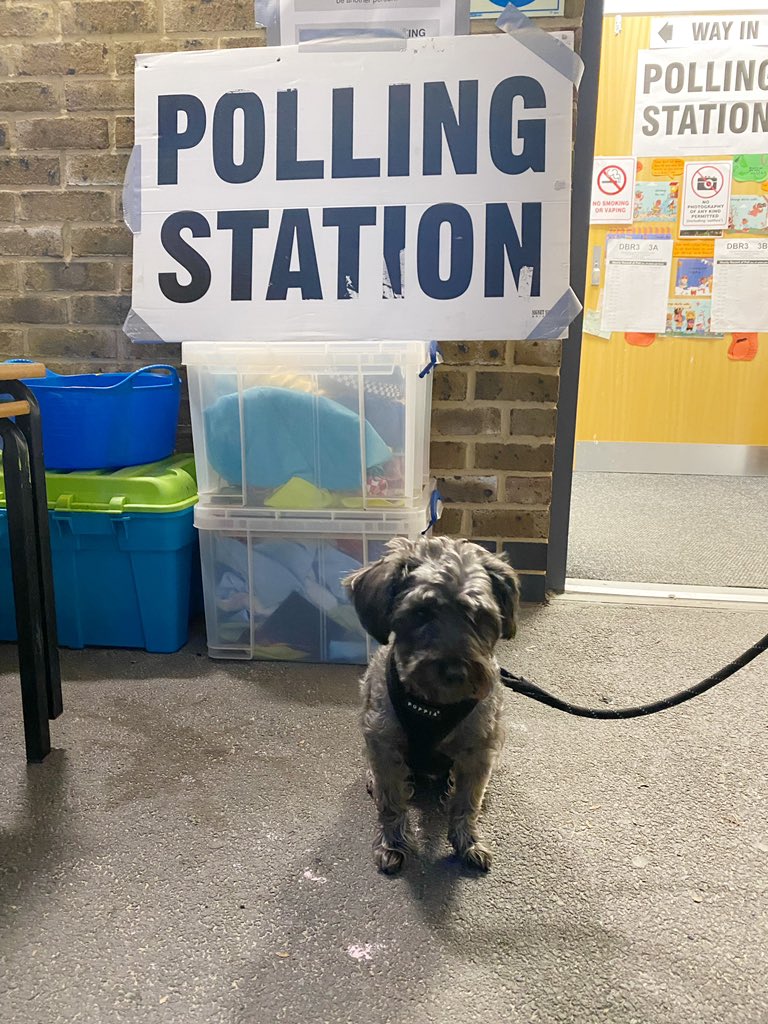 brutter2002's tweet image. #dogsatpollingstations