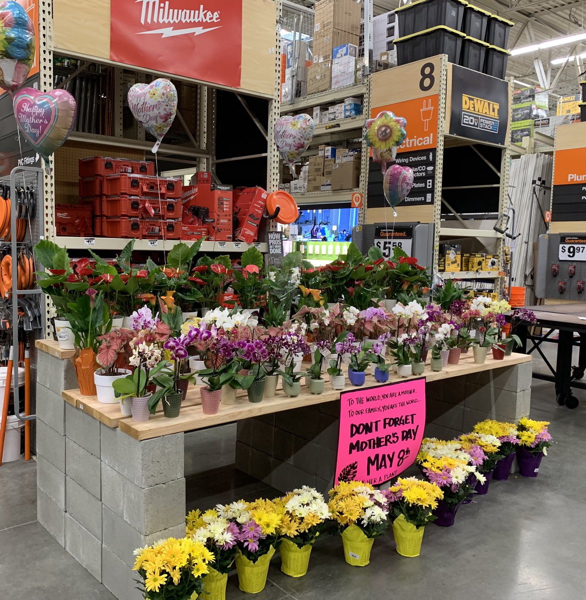 TiffanyWaterworth tweet media