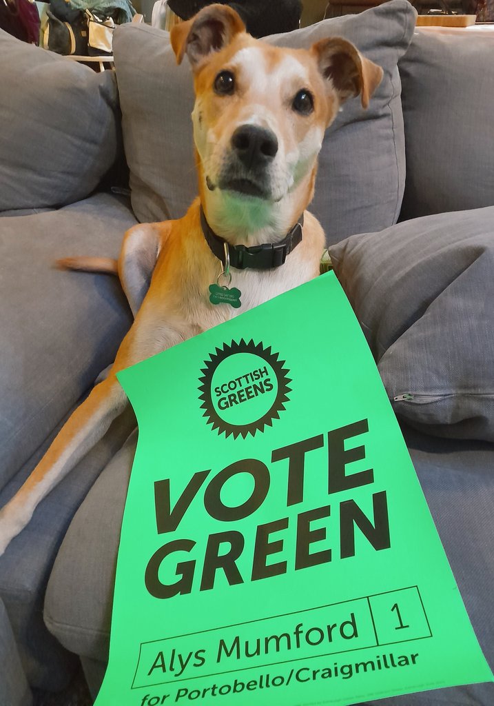 AlysGreens's tweet photo. OK they are not #DogsAtPollingStations but Hamish and Eros were feeling left out and I had some spare posters during my tea break.
#VoteGreen #GreenDogs https://t.co/RU066GbdHW