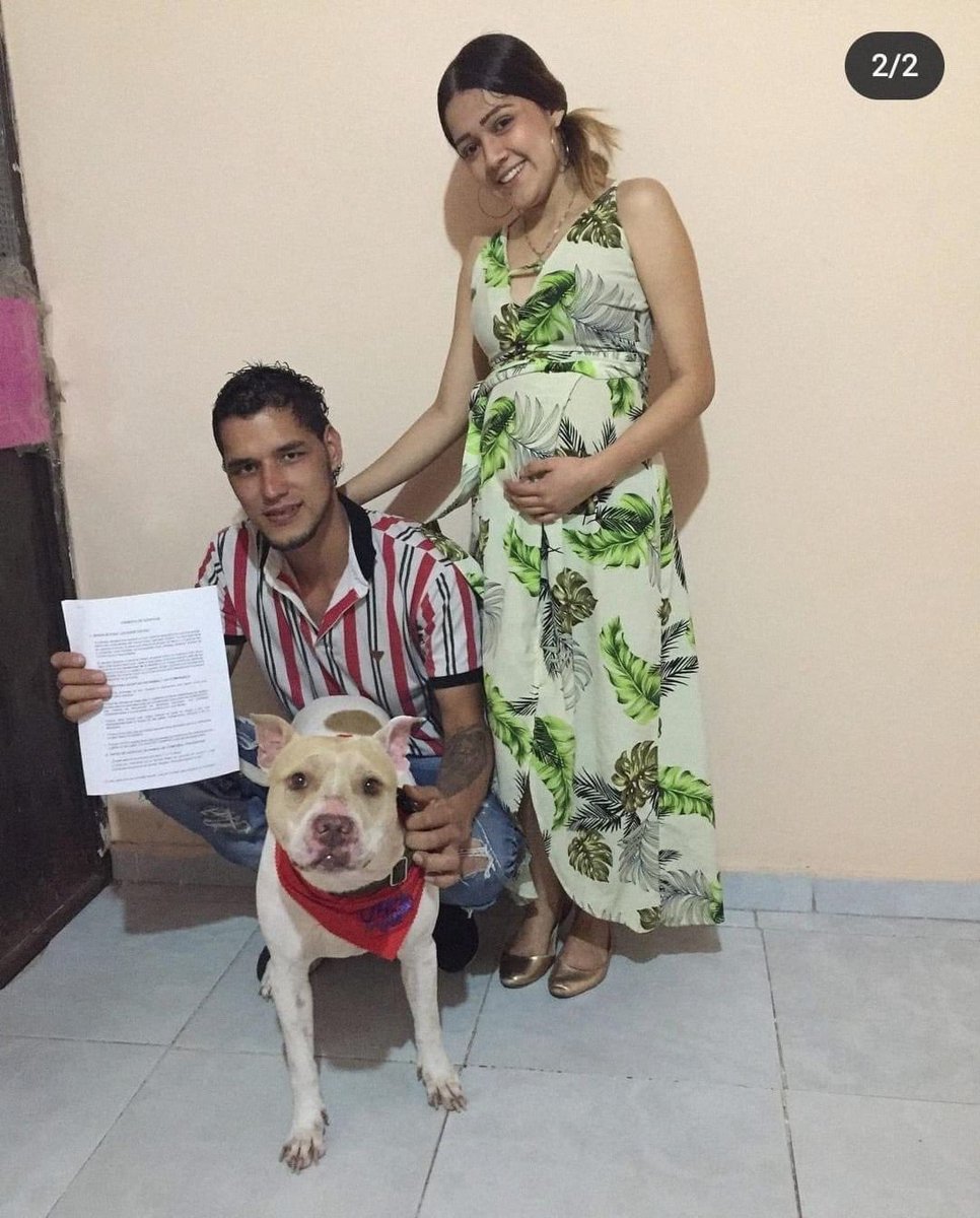 MONYRODRIGUEZOF's tweet photo. Publico esta denuncia de un perrito entregado en perfectas condiciones en adopción y devuelto en un estado lamentable. https://t.co/xANAjQkGj8