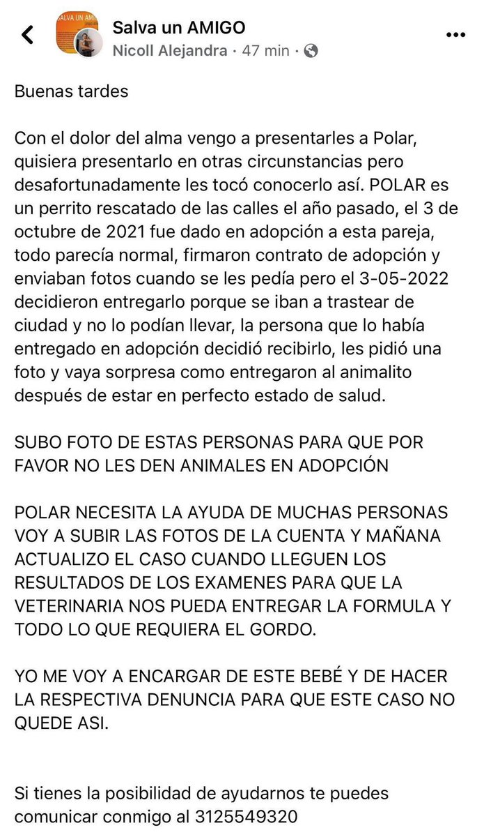 MONYRODRIGUEZOF's tweet photo. Publico esta denuncia de un perrito entregado en perfectas condiciones en adopción y devuelto en un estado lamentable. https://t.co/xANAjQkGj8