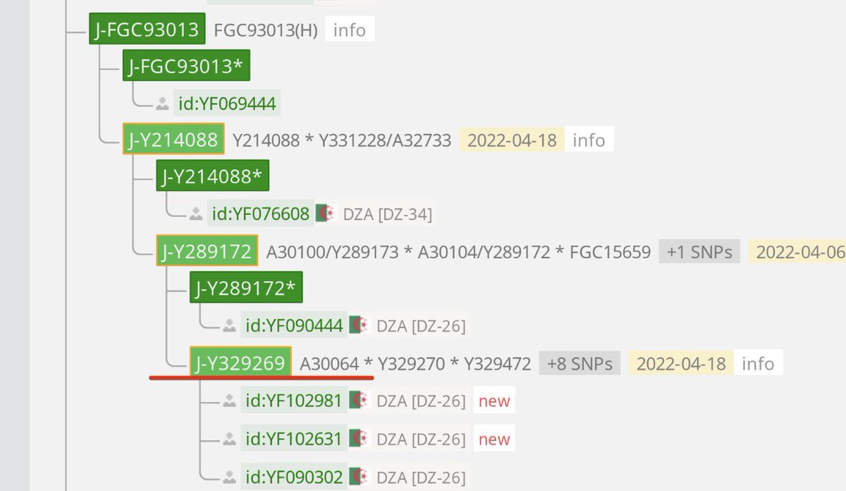 q8_kanon's tweet photo. يسرني اعلان نتيجتين هولجينوم (YF103469-53060)&amp; YF103087
لعائلة قبيلي من العبازات بني سعيد الهلالية من ورقلة  بصحراء الجزائر و قد ظهر لهم اكثر من 11 تحور خاص جديد يجمعهم اسفل التحور 
Y331518 متفرع من FT304106 متفرع  من Y196286 متفرع من ZS8939 المتفرع من التحور العامري الهوازنيfgc2 https://t.co/uSr8icG8Ln