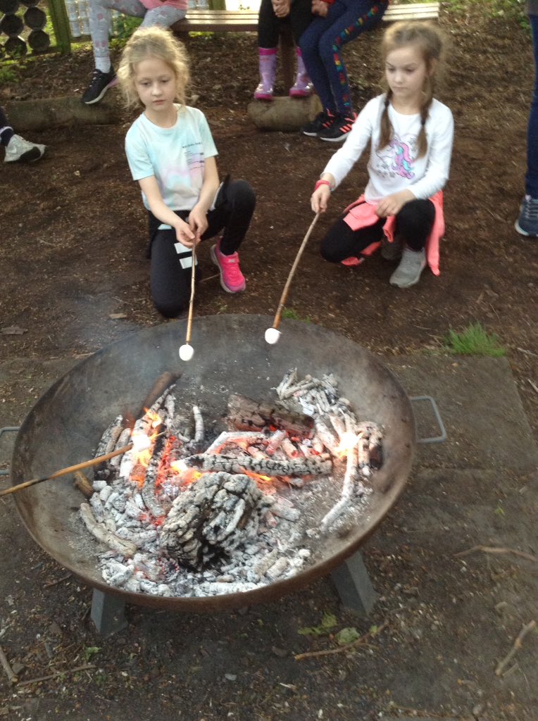 Nene Valley Office tweet media