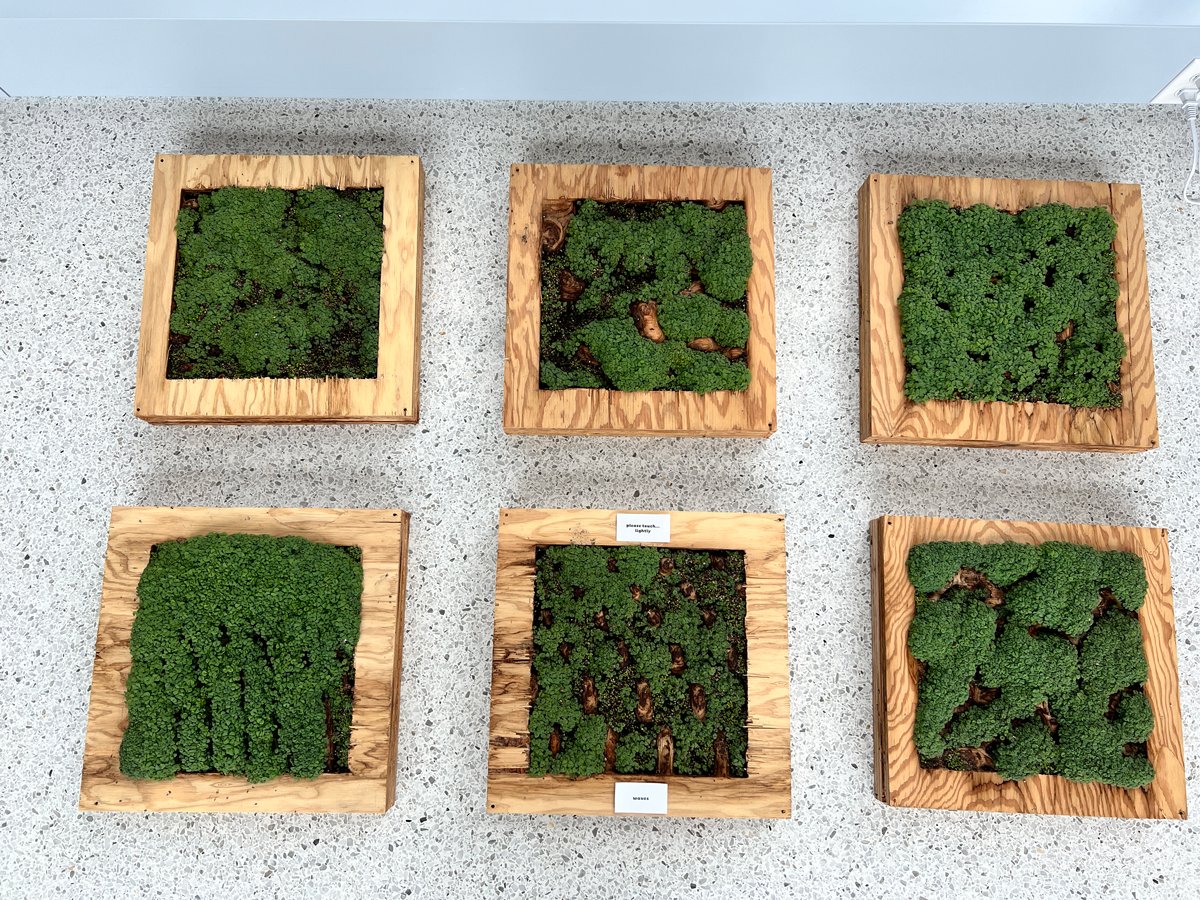 UOKnightCampus's tweet photo. Art Meets Science — Visit us on the 2nd floor of the Knight Campus today for a PopUp Exhibit by Mary Polites, a fellow in the Project Incubator program, a collaboration with the @uoregondesign Center for Art Research https://t.co/iQwRRUQDIX https://t.co/IiRBv7WrIw