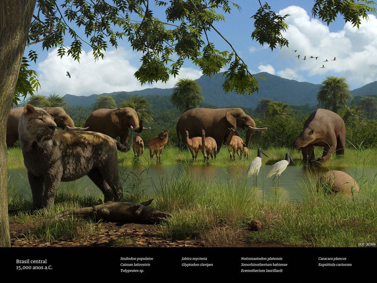 Just learned I got 2nd place at the paleoart contest promoted in this year's Brazilian Congress of Paleontology, with this piece showing a waterhole in Brazil's lost savannas. Congrats to all involved, especially to the winner <a href="/marciolcastro/">Márcio L. Castro</a>!