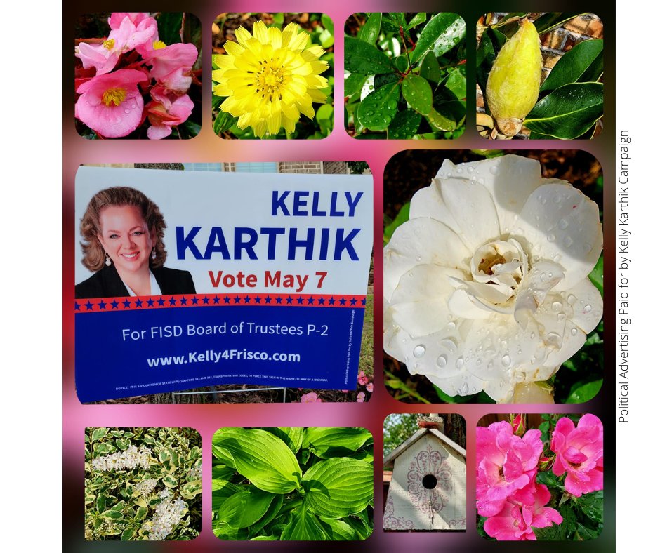Kelly4Frisco's tweet photo. Beautiful things blossoming in my yards...
#Frisco #FriscoISD #FISD #FriscoElections #CollinCounty #DentonCounty #FriscoNews #FriscoParents #FriscoTeachers #FISDBOT #Trustee #TimeForAChange #Kelly4Frisco #FISDBoardofTrustees #DFW #VOTE #LocalElectionsMatter #FriscoSchools https://t.co/NnJ8g4HDvv