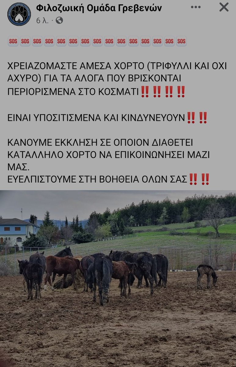 Magiamelissaa's tweet photo. Η Φιλοζωική Γρεβενών χρειάζεται ΑΜΕΣΑ τριφύλλι για να ταΐσει τα υποσιτισμένα άλογα στην περιοχή! 
ΟΠΟΙΟΣ ΜΠΟΡΕΙ, ΑΣ ΒΟΗΘΗΣΕΙ
ΚΟΙΝΟΠΟΙΗΣΤΕ!! 
#διαγγελμα
#paobc #AgriesMelisses #MaskedSingerGR #Sasmos #MeToo #MetGala2022 #Euroleague https://t.co/KPtQpQMVnb