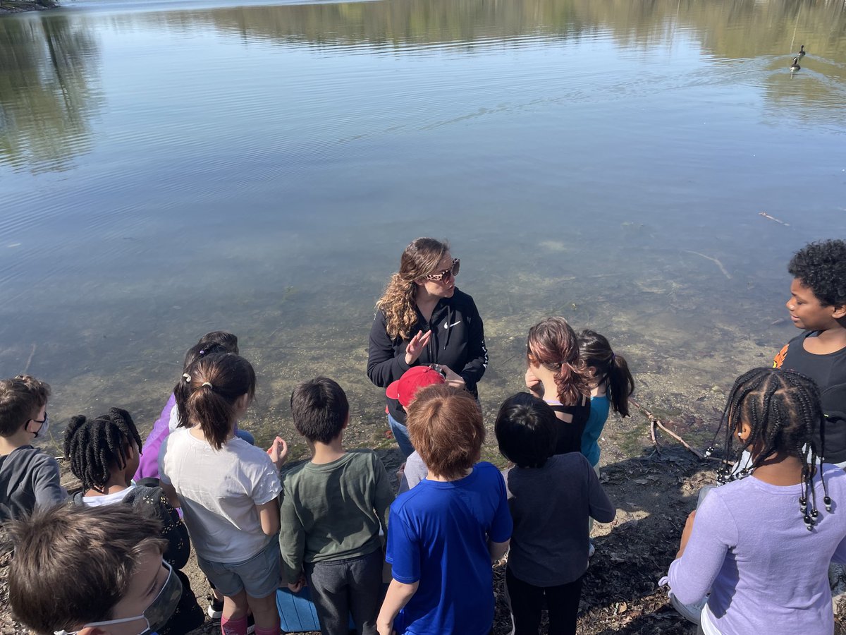 LinusGuilloryJr's tweet photo. Joined Runkle’s 3rd graders today as they released their trout into Jamaica Pond. Baker and Runkle piloted a new life cycle curriculum. #activescience #stockingthepond @BrooklinePublic https://t.co/O5S2xLyAcS