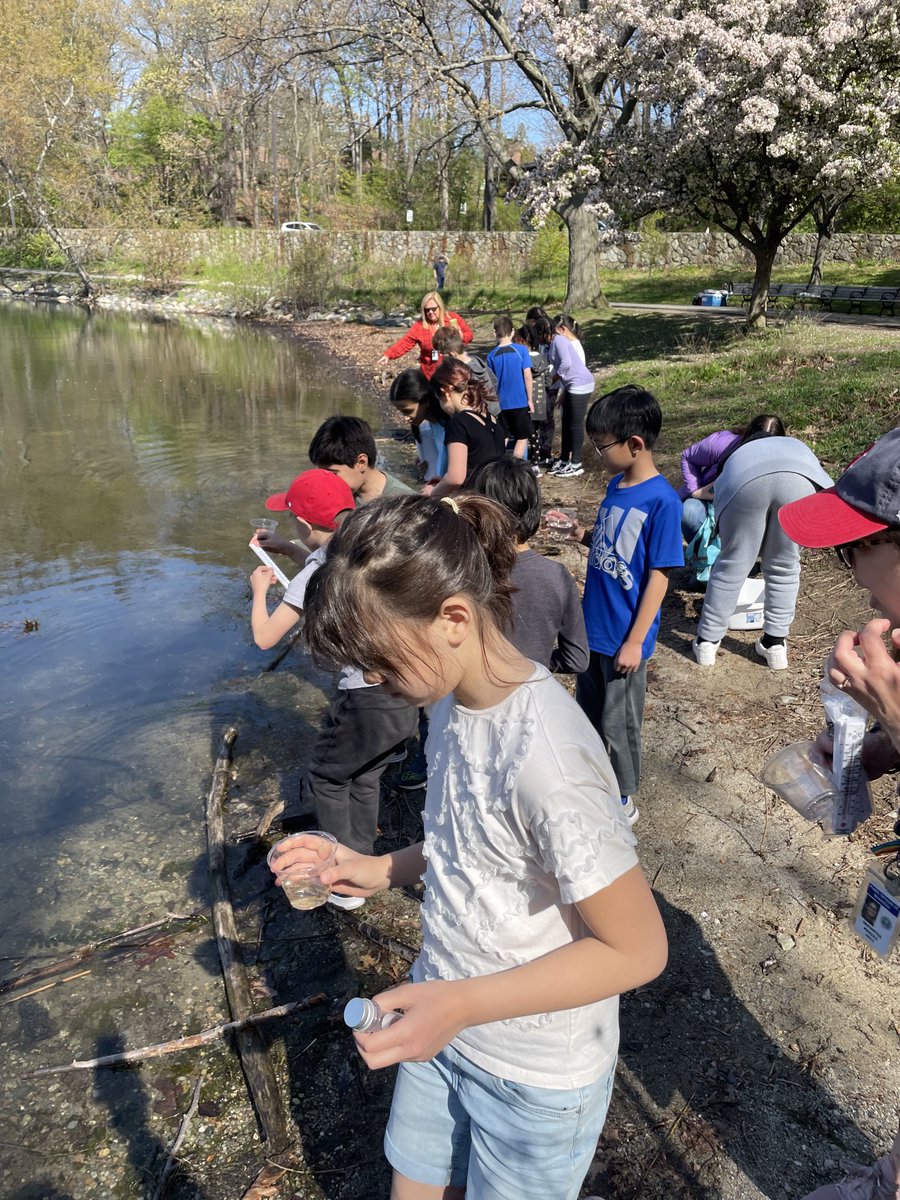 LinusGuilloryJr's tweet photo. Joined Runkle’s 3rd graders today as they released their trout into Jamaica Pond. Baker and Runkle piloted a new life cycle curriculum. #activescience #stockingthepond @BrooklinePublic https://t.co/O5S2xLyAcS
