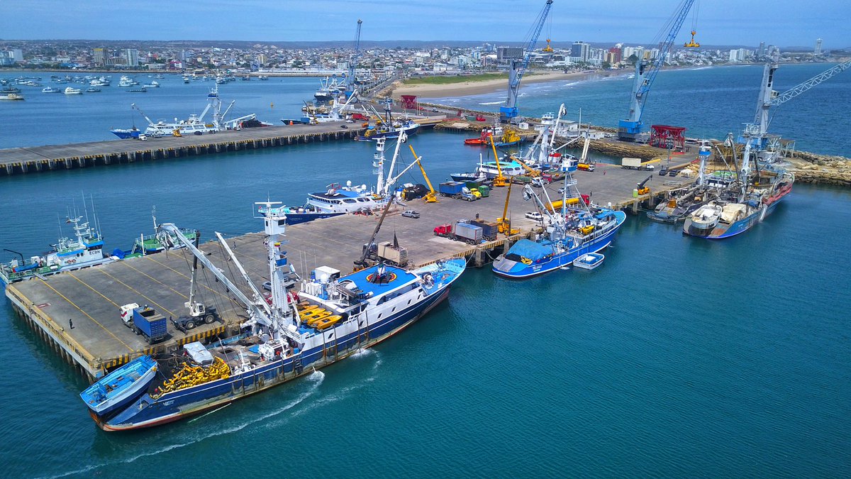 TPM_EC's tweet photo. ¡#Manta tiene el principal puerto pesquero del Ecuador!🐠

Con 110 🛳 de bandera 🇪🇨, el #PuertoDeManta concentra la flota atunera más grande del Pacífico Oriental. Estos buques son el primer eslabón de una actividad económica que emplea directamente a cerca de 30.000 personas☝🏼 https://t.co/qACQC76ALC