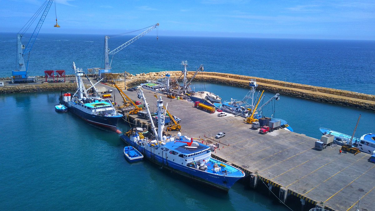 TPM_EC's tweet photo. ¡#Manta tiene el principal puerto pesquero del Ecuador!🐠

Con 110 🛳 de bandera 🇪🇨, el #PuertoDeManta concentra la flota atunera más grande del Pacífico Oriental. Estos buques son el primer eslabón de una actividad económica que emplea directamente a cerca de 30.000 personas☝🏼 https://t.co/qACQC76ALC