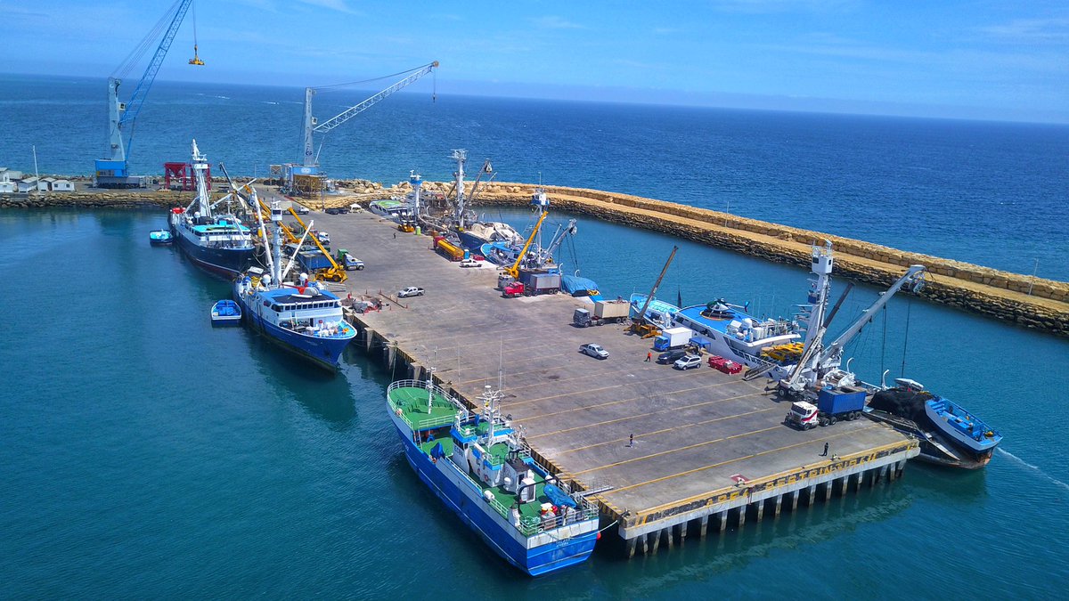 TPM_EC's tweet photo. ¡#Manta tiene el principal puerto pesquero del Ecuador!🐠

Con 110 🛳 de bandera 🇪🇨, el #PuertoDeManta concentra la flota atunera más grande del Pacífico Oriental. Estos buques son el primer eslabón de una actividad económica que emplea directamente a cerca de 30.000 personas☝🏼 https://t.co/qACQC76ALC