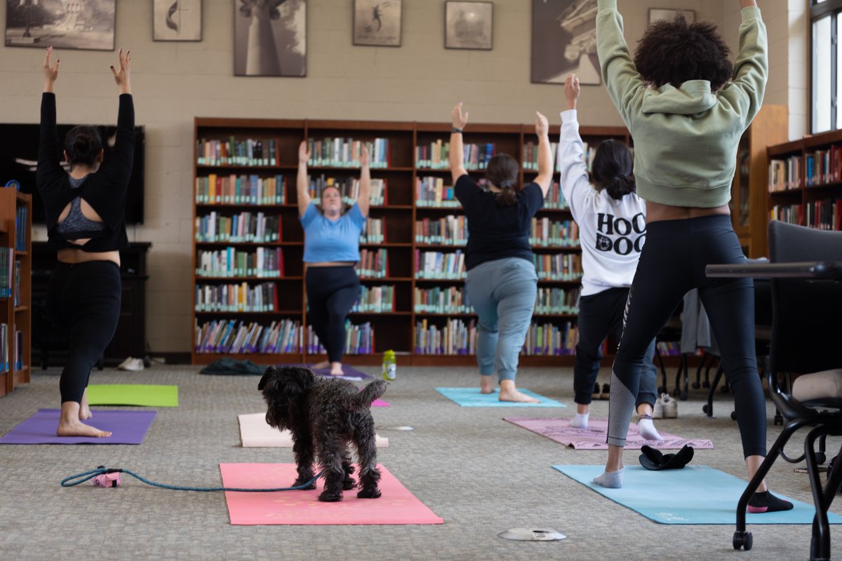 Moundbuilders's tweet photo. Did somebody say down 'dog'?
🐕🧘📚
Happy Finals Week Builders! https://t.co/l03ybkW4f7
