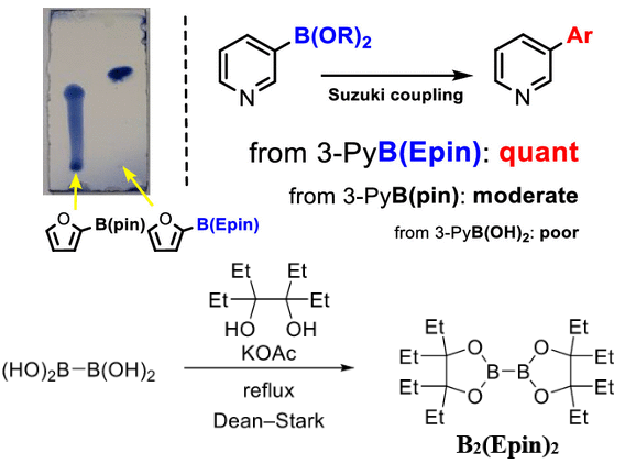 Boron-Chem-Research (@boron_chemistry) on Twitter photo Aryl Boronic Esters Are Stable on Silica Gel and Reactive under Suzuki–Miyaura Coupling Conditions (<a href="/JOC_OL/">J Org Chem/Org Lett</a>): pubs.acs.org/doi/10.1021/ac…. Aryl Boronic Esters Are Stable on Silica Gel and Reactive under Suzuki–Miyaura Coupling Conditions (<a href="/JOC_OL/">J Org Chem/Org Lett</a>): pubs.acs.org/doi/10.1021/ac….