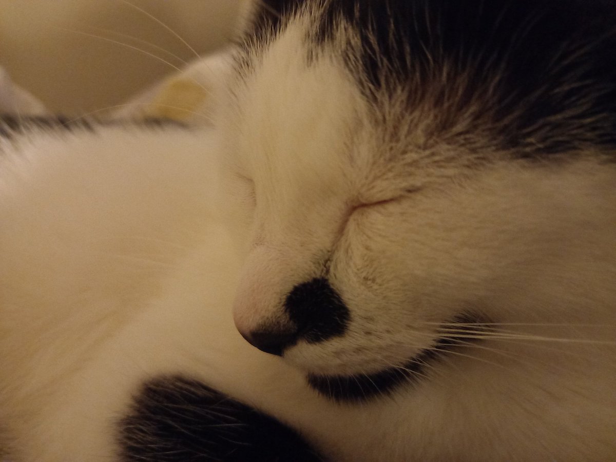 Laura Bampton tweet media