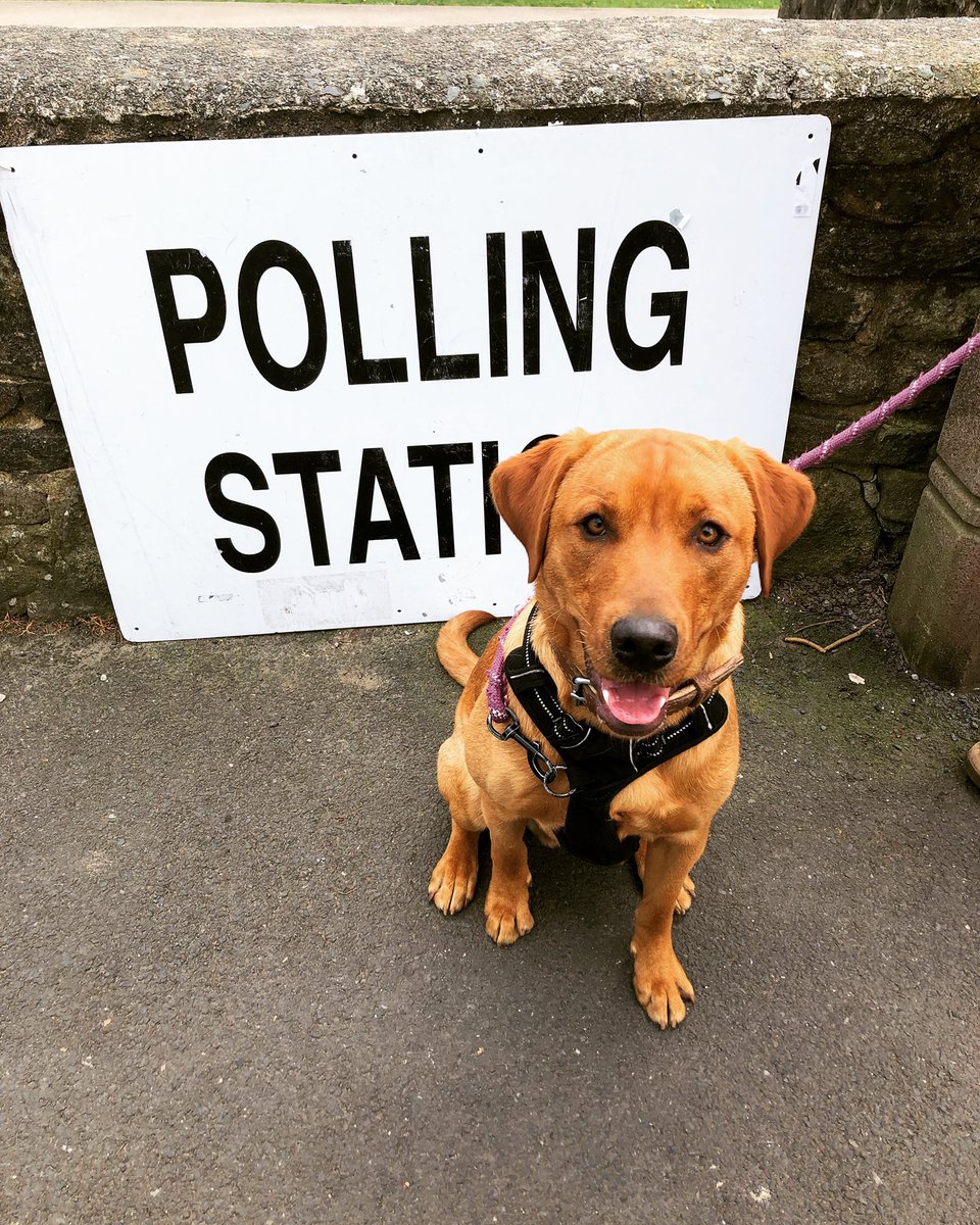 #dogsatpollingstations