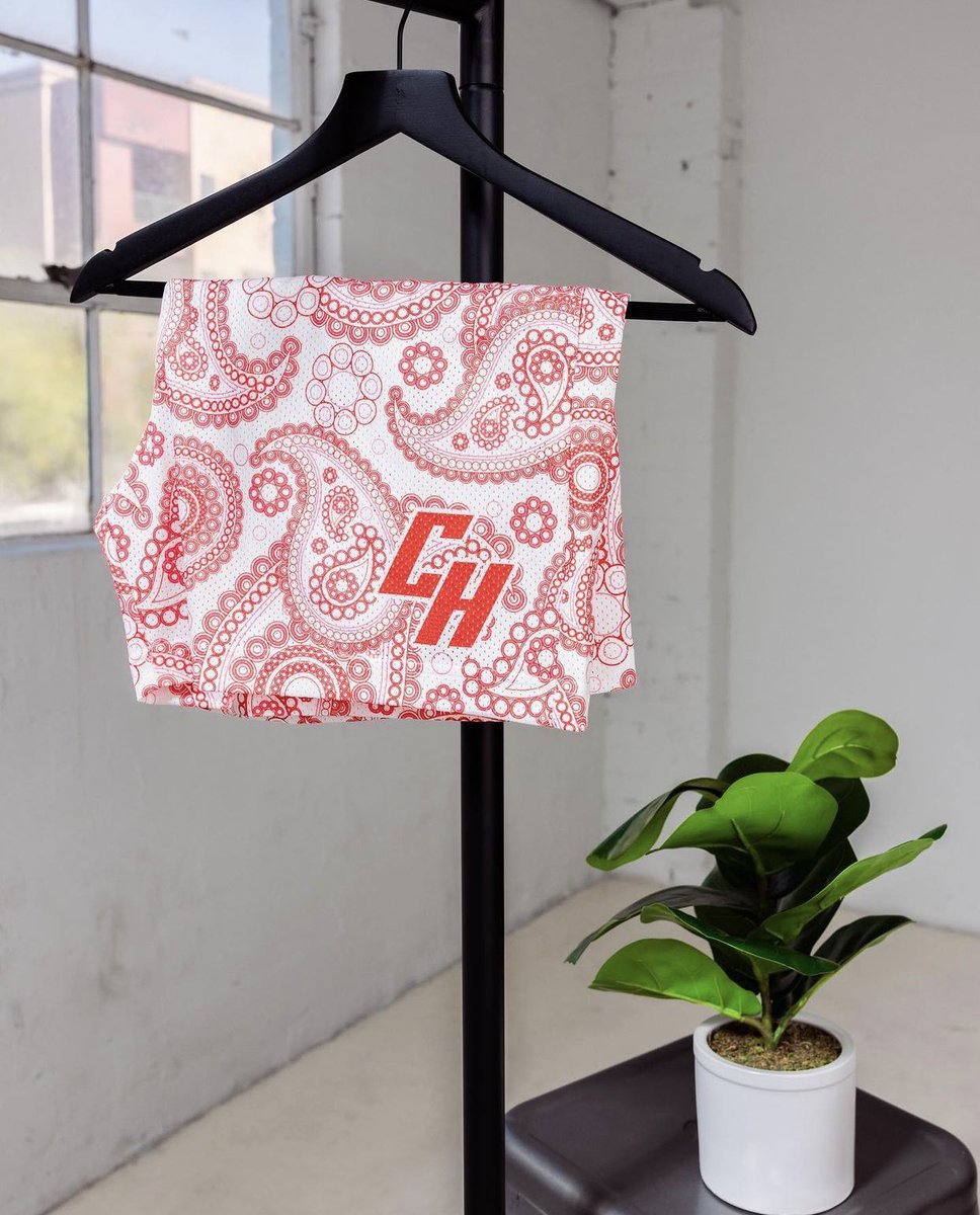 thecommonhype's tweet image. Common Hype ‘Paisley Collection’ is finally dropping tomorrow at 10PM PST. Shorts and Tees available in sizes S-XXL

RT and Comment your size and the item you want and i’ll pick a couple of you to win any piece for FREE ❤️