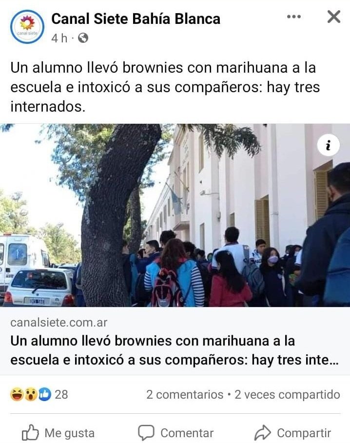 outbahia's tweet photo. Premio al mejor compañero https://t.co/Pik7Jd1xFc
