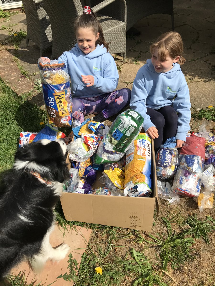 Trashchangers's tweet photo. We sent off 2.5 kg of bread bags to Terracycle this week - which feels so good.  you can see we had some unexpected help packing these too! @palace_wood https://t.co/QvufbKLKus