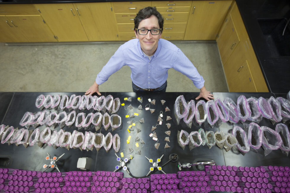 CABBI (@cabbibio) on Twitter photo Meet our newest CABBI #Sustainability investigator from <a href="/IowaStateU/">Iowa State University</a>! 🙌
Assistant Prof. Marshall McDaniel, a Chicago-area native who did postdoctoral work in Australia, is back in the Midwest to study soil-plant interactions at <a href="/ISUAgronomy/">Iowa State Agronomy</a>!
Profile ➡️ cabbi.bio/soil-plant-int… Meet our newest CABBI #Sustainability investigator from <a href="/IowaStateU/">Iowa State University</a>! 🙌
Assistant Prof. Marshall McDaniel, a Chicago-area native who did postdoctoral work in Australia, is back in the Midwest to study soil-plant interactions at <a href="/ISUAgronomy/">Iowa State Agronomy</a>!
Profile ➡️ cabbi.bio/soil-plant-int…